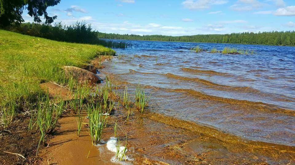 Stugby - Nature Adventures Hamra (Gavleborg)